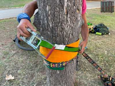 . Dopo aver sistemato i treepro (protettori per gli arbusti)...